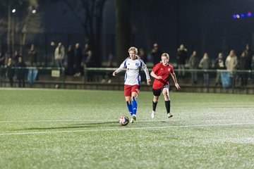 Bild 135 - wBJ Hamburger SV - Eimsbuettler TV 2 : Ergebnis: 16:0